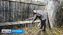 У матери новорождённой девочки с улицы воронежского села есть шанс избежать суда