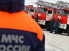 В Приморье локализовали все лестные пожары