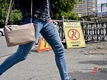 Дерево рухнуло на главу района в Ульяновской области: мужчина в реанимации