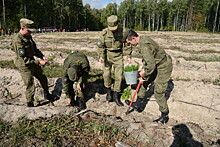 Около 250 тыс. человек участвовали в акции «Наш лес. Посади свое дерево» в Подмосковье