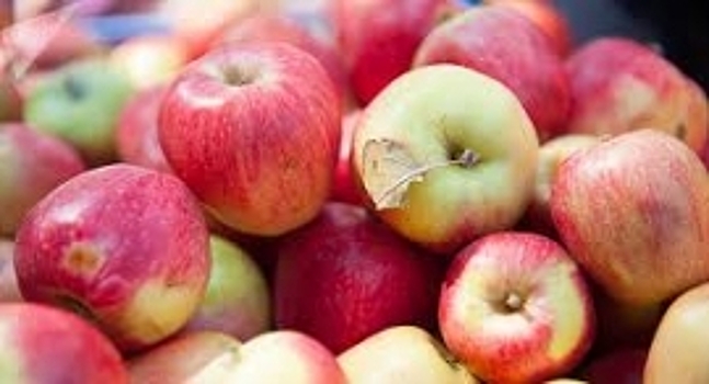 Казахстан снял запрет на импорт картофеля, яблок и хурмы из Кыргызстана