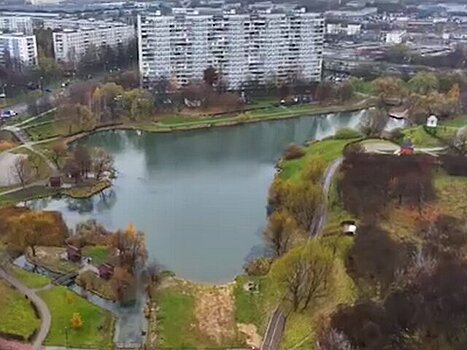 В Покровском парке началась реконструкция прудов