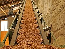 Четыре резидента ТОР «Забайкалье» осуществляют деятельность в Чите