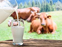 Диетолог объяснила, чем опасно употребление разливного молока