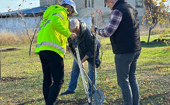 Сотрудники Минприроды Курской области  посадили 100 деревьев в Мариупольском районе