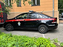 Бастрыкин заинтересовался нападением с ножом на подростка в Нижнем Новгороде