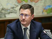 Новак заявил о снижении оптовых цен на топливо