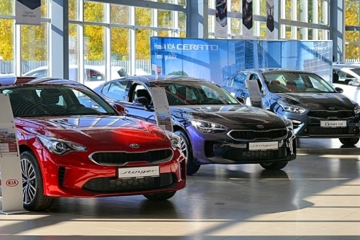 МВД разработало требования к специалистам по регистрации машин