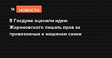 В Госдуме оценили идею Жириновского лишать прав за привязанные к машинам «ватрушки»