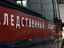 Ребенок растапливал печь бензином и сжег дом с людьми