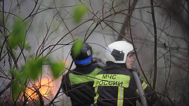 МЧС предупредило о пожарной опасности четвертого класса в Московском регионе