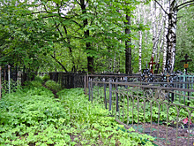 Российская треш-блогерша рассказала о кощунственном поступке на могиле родных