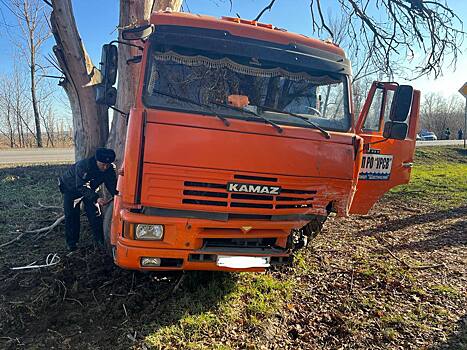 Водитель легковушки погиб в ДТП с грузовиком в Ростовской области