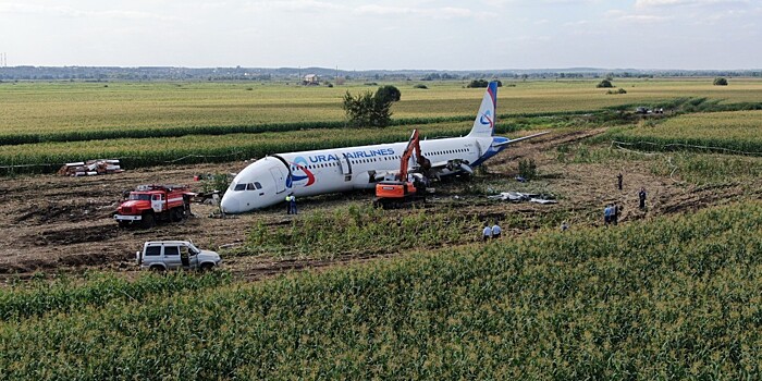 Чудо на Неве, а затем и в кукурузе: подвиг экипажа A321 сравнили с посадкой Ту-124