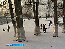 Кататься на горке в Центральном парке Калининграда стала безопаснее