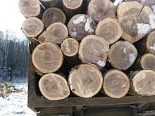 Мухенскую трассу в Хабкрае открыли для движения лесовозов