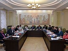 Развитие самбо в Иркутской области обсудили в Москве