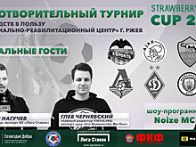 Анонсирован благотворительный турнир Strawberry Fields Cup 2017 по FIFA 18
