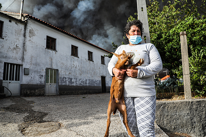 Женщина c козой у города Алдея-де-Меас, Португалия, 17 августа 2025 года