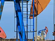 В России заявили о продолжающихся закупках нефти Индией