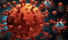 Коронавирус осенью 2023: симптомы инфекции и рекомендации по защите