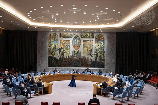 Совбез ООН проголосовал за проект резолюции по Судану