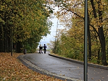 Осенью россияне проводят время за просмотром фильмов или на природе