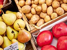 Москвичи приобрели почти 300 тонн картофеля на ярмарках выходного дня с начала осени