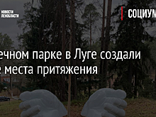 В Заречном парке в Луге создали новые места притяжения