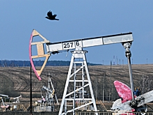 Мировые цены на нефть начали активно расти