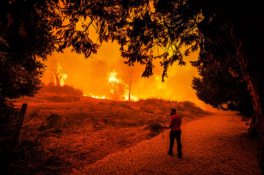 Люди пытаются тушить пожар в Масиейре, Португалия, 15 августа 2025 года