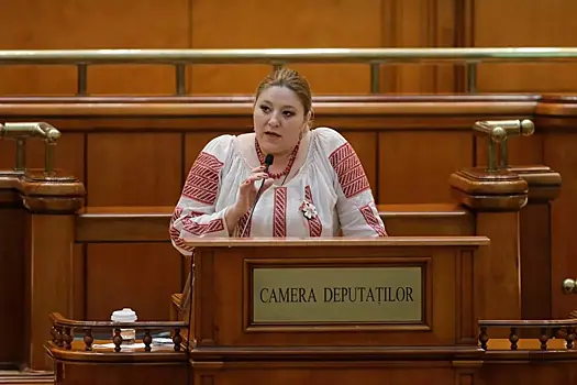 Сенатора из Румынии внесли в «Миротворец»