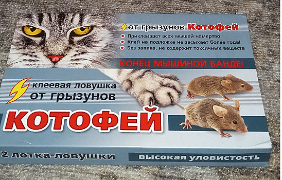 Если мыши достали, зовите на помощь "Котофея". Липкая ловушка не подведет
