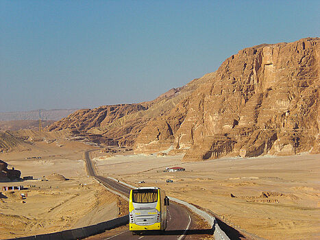 Названа возможная дата возобновления прямых рейсов в Каир