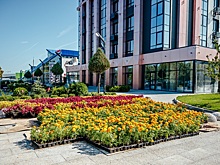 Компания «Зелёный сад» приглашает на открытие памятника Олегу Рязанскому