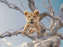 Что известно о новом мультфильме «Муфаса: Король Лев» от Disney