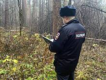 Голое тело без головы в лесу: что известно об убийстве женщины в Екатеринбурге