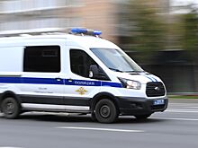 В Нижегородской области девушка убила приемную мать с целью побега