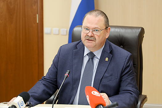 Мельниченко дал негативную оценку работе мэра Пензы