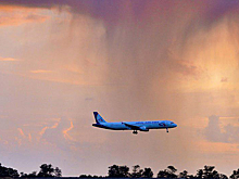 Столкновение А321 с птицами попало на видео