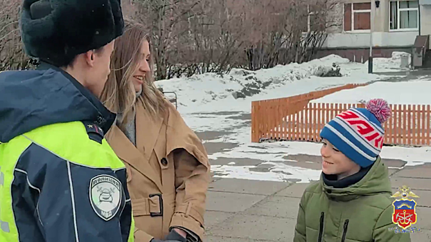 В Мурманской области сотрудники Госавтоинспекции помогли потерявшемуся ребенку вернуться домой