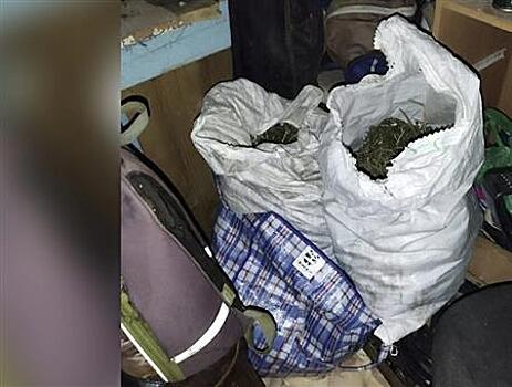 Житель Самарской области планировал самостоятельно употребить 3,5 кг конопли