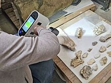 Археологи раскрыли детали необычного римского погребального обряда в Англии