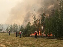 В России за сутки ликвидировали 78 природных пожаров