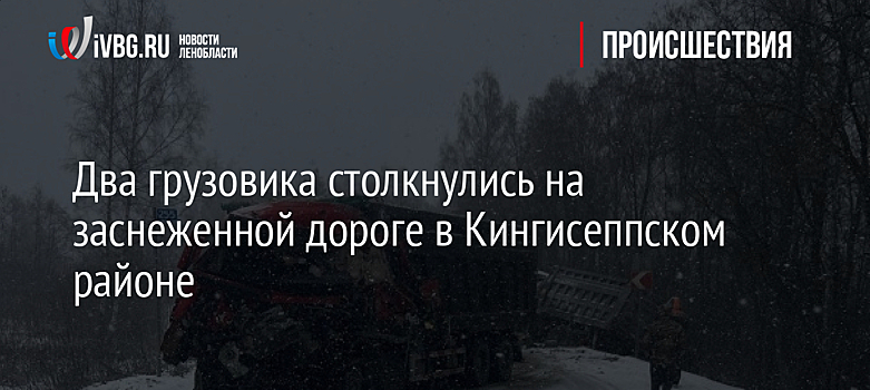 Два грузовика столкнулись на заснеженной дороге в Кингисеппском районе