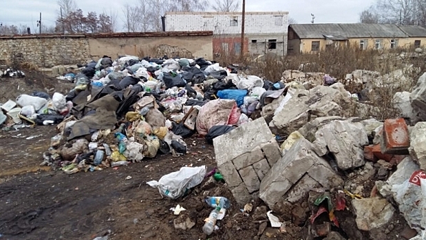 В Воронежской области потребовали ликвидировать незаконные свалки на 3 тысячи «квадратов»