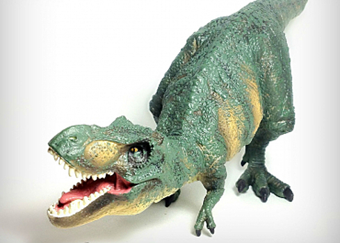 Палеонтолог объяснил, зачем тираннозаврам передние лапки