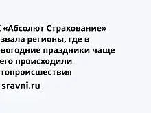 СК «Абсолют Страхование» назвала регионы, где в новогодние праздники чаще всего происходили автопроисшествия