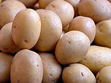 Крошечка картошечка на 20% дешевле может появиться на российских прилавках