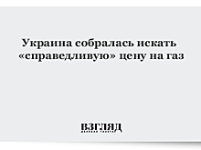 Украина пытается найти "справедливую" цену на газ